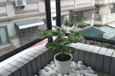五甲自強市